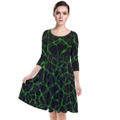 System Web Network Connection Quarter Sleeve Waist Band Dress