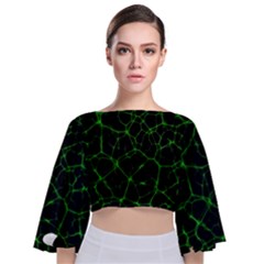 System Web Network Connection Tie Back Butterfly Sleeve Chiffon Top by Pakrebo