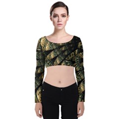 Pattern Abstract Fractals Velvet Long Sleeve Crop Top