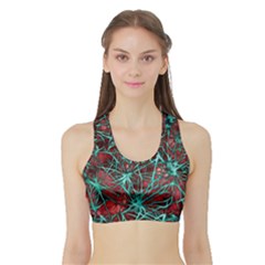 Nerves Cells Star Dendrites Sepia Sports Bra With Border by Pakrebo