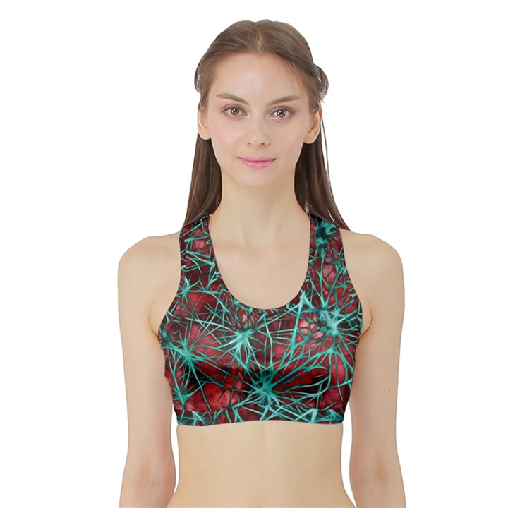 Nerves Cells Star Dendrites Sepia Sports Bra with Border