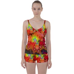 Background Abstract Color Form Tie Front Two Piece Tankini by Pakrebo