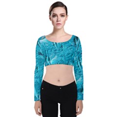 Aubree Velvet Long Sleeve Crop Top by WILLBIRDWELL