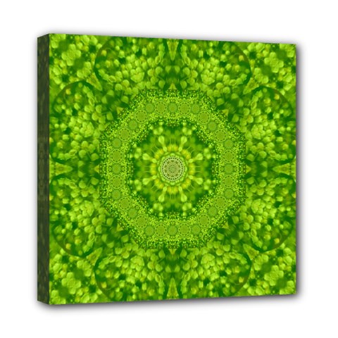 Spring Flower Joy Mini Canvas 8  X 8  (stretched) by pepitasart