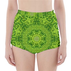 Spring Flower Joy High-waisted Bikini Bottoms by pepitasart