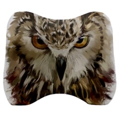 Vector Hand Painted Owl Velour Head Support Cushion by Sudhe