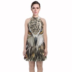 Vector Hand Painted Owl Velvet Halter Neckline Dress  by Sudhe