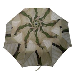 White Pointsettia Folding Umbrellas by Riverwoman