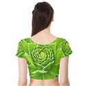 Wurz Houseleek Turmeric Plant Short Sleeve Crop Top View2