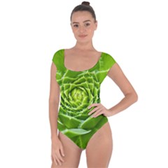 Wurz Houseleek Turmeric Plant Short Sleeve Leotard  by Pakrebo