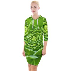 Wurz Houseleek Turmeric Plant Quarter Sleeve Hood Bodycon Dress by Pakrebo