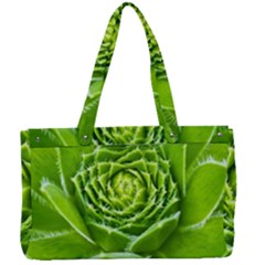 Wurz Houseleek Turmeric Plant Canvas Work Bag by Pakrebo