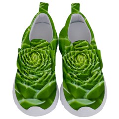 Wurz Houseleek Turmeric Plant Kids  Velcro No Lace Shoes by Pakrebo