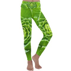 Wurz Houseleek Turmeric Plant Kids  Lightweight Velour Classic Yoga Leggings