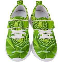 Wurz Houseleek Turmeric Plant Kids  Velcro Strap Shoes by Pakrebo