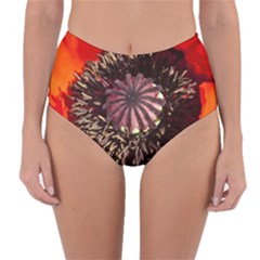 Ornamental Poppies Half Rosette Plant Reversible High-waist Bikini Bottoms by Pakrebo