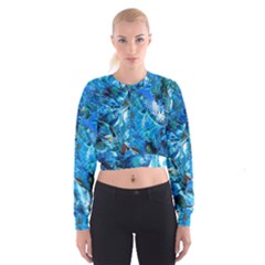 Tropic Cropped Sweatshirt