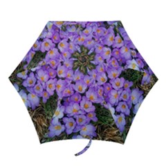 Signs Of Spring Purple Crocua Mini Folding Umbrellas by Riverwoman