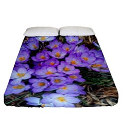 Signs Of Spring Purple Crocua Fitted Sheet (california King Size) by Riverwoman