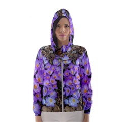 Signs Of Spring Purple Crocua Women s Hooded Windbreaker by Riverwoman