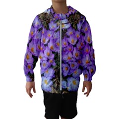 Signs Of Spring Purple Crocua Kids  Hooded Windbreaker by Riverwoman