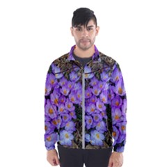 Signs Of Spring Purple Crocua Men s Windbreaker by Riverwoman