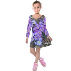 Signs Of Spring Purple Crocua Kids  Long Sleeve Velvet Dress by Riverwoman