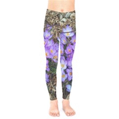 Signs Of Spring Purple Crocua Kids  Legging by Riverwoman