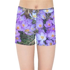 Signs Of Spring Purple Crocua Kids  Sports Shorts by Riverwoman