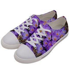 Signs Of Spring Purple Crocua Women s Low Top Canvas Sneakers by Riverwoman