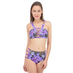 Signs Of Spring Purple Crocua Cage Up Bikini Set by Riverwoman