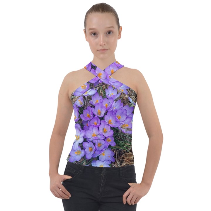 Signs of spring purple crocua Cross Neck Velour Top