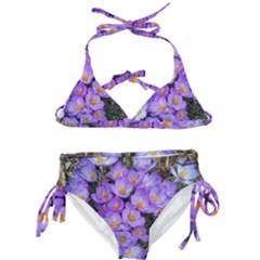 Signs Of Spring Purple Crocua Kids  Classic Bikini Set by Riverwoman