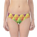 Background Colorful Geometric Triangle Hipster Bikini Bottoms View1