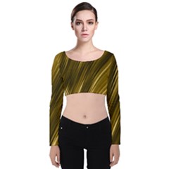 Creative Original Intention Velvet Long Sleeve Crop Top