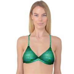 Board Conductors Circuits Reversible Tri Bikini Top