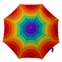 Rainbow Background Colorful Hook Handle Umbrellas (Large) View1