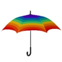 Rainbow Background Colorful Hook Handle Umbrellas (Large) View3