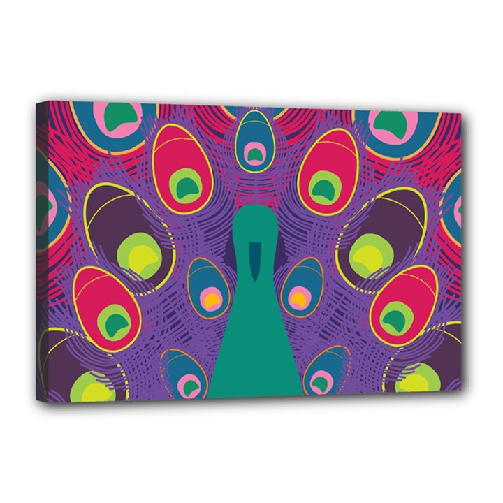 Peacock Bird Animal Feathers Canvas 18  x 12  (Stretched)