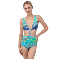 Animal Bee Tied Up Two Piece Swimsuit