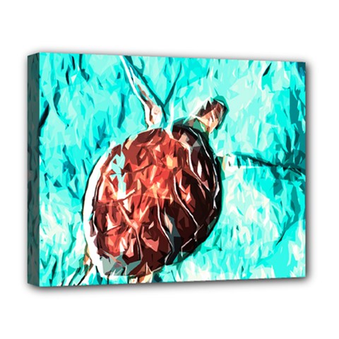 Tortoise Marine Animal Shell Sea Deluxe Canvas 20  X 16  (stretched) by HermanTelo