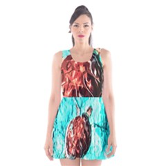 Tortoise Marine Animal Shell Sea Scoop Neck Skater Dress