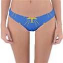 Aircraft Texture Blue Yellow Reversible Hipster Bikini Bottoms View3