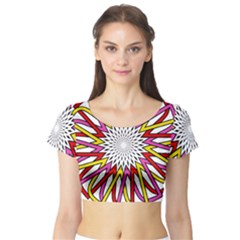 Sun Abstract Mandala Short Sleeve Crop Top by HermanTelo