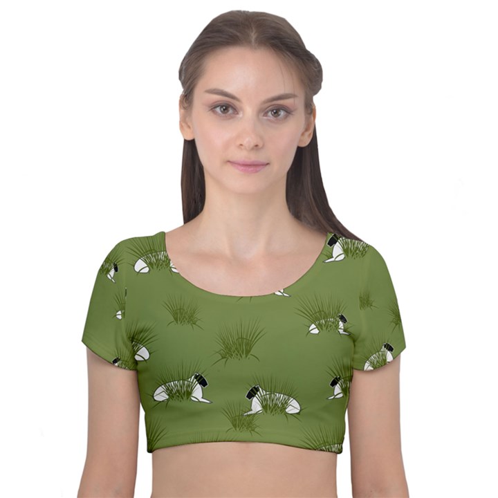 Sheep Lambs Velvet Short Sleeve Crop Top 