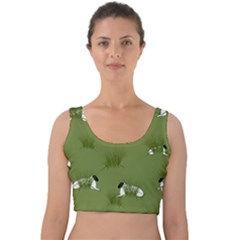 Sheep Lambs Velvet Crop Top