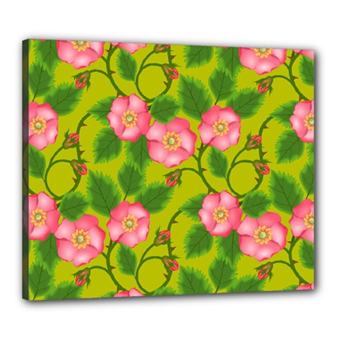 Roses Flowers Pattern Bud Pink Canvas 24  X 20  (stretched)