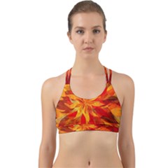 Flower Blossom Red Orange Abstract Back Web Sports Bra