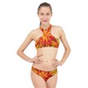 Flower Blossom Red Orange Abstract High Neck Bikini Set View1