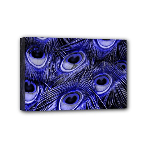 Peacock Feathers Color Plumage Mini Canvas 6  X 4  (stretched) by Pakrebo